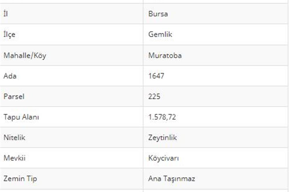 C21 CİUS;TAMAMI KÖY YERLEŞİK ALANI İÇERİSİNDE SATILIK ARSA