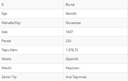 C21 CİUS;TAMAMI KÖY YERLEŞİK ALANI İÇERİSİNDE SATILIK ARSA