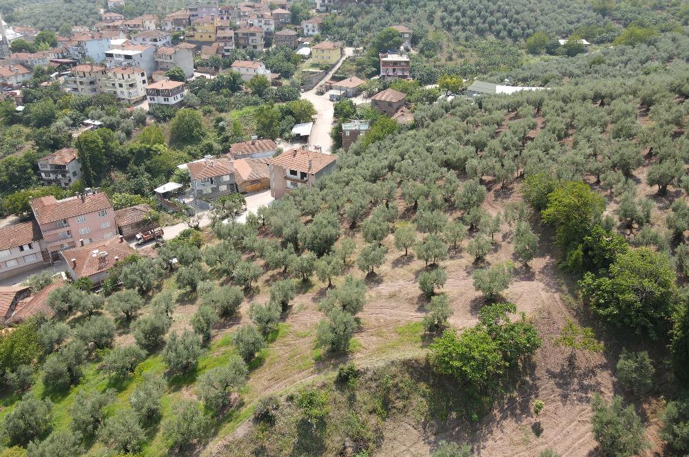 C21 CIUS, LAND FOR SALE IN COMPLETE VILLAGE RESIDENTIAL AREA