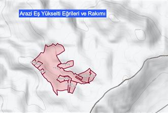 Manisa Çortak'ta Satılık 544 Dönüm Antep Fıstığı, Badem Bahçesi