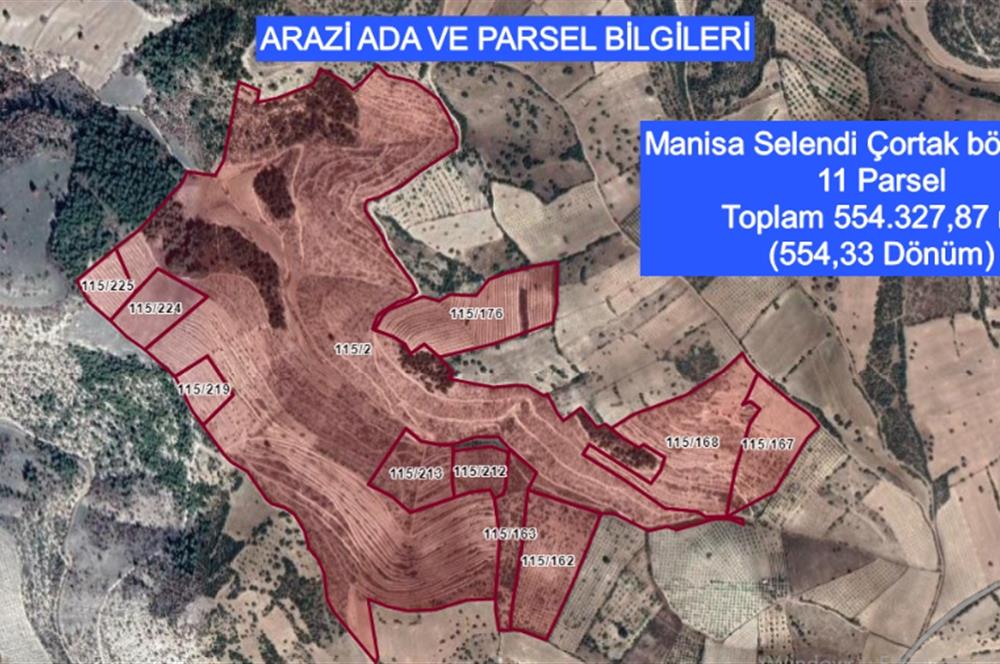 Manisa Çortak'ta Satılık 544 Dönüm Antep Fıstığı, Badem Bahçesi