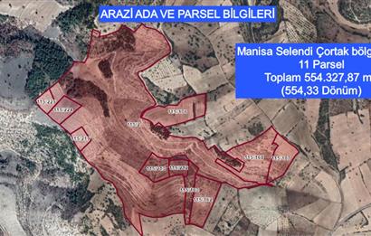 Manisa Çortak'ta Satılık 544 Dönüm Antep Fıstığı, Badem Bahçesi