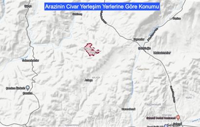 Manisa Çortak'ta Satılık 544 Dönüm Antep Fıstığı, Badem Bahçesi