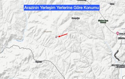 Manisa Çortak'ta Satılık 544 Dönüm Antep Fıstığı, Badem Bahçesi