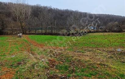 Gebze mudarlı köyünde satılık tarla 