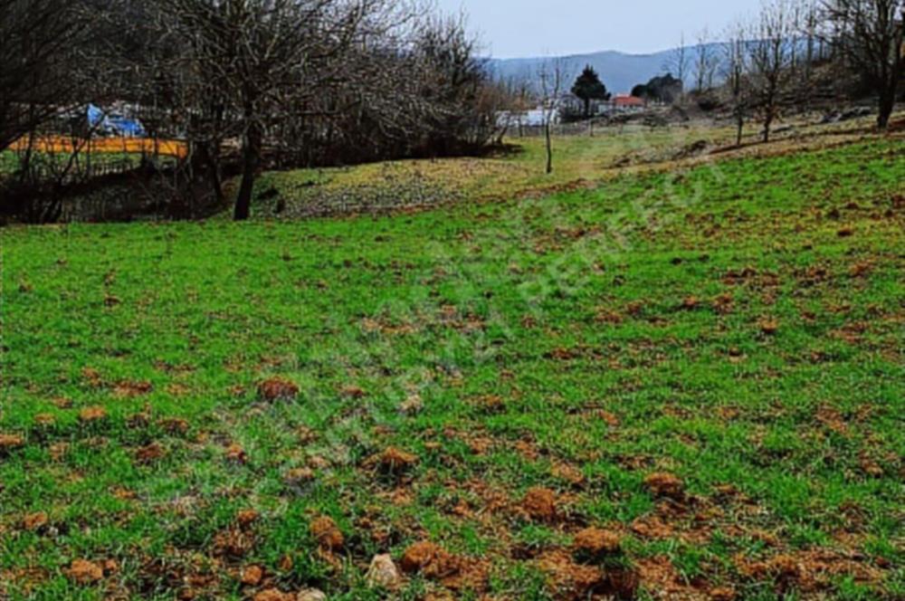 Gebze mudarlı köyünde satılık tarla 