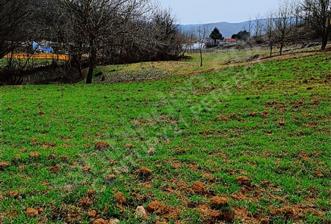 Gebze mudarlı köyünde satılık tarla 