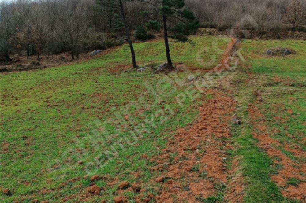 Gebze mudarlı köyünde satılık tarla 