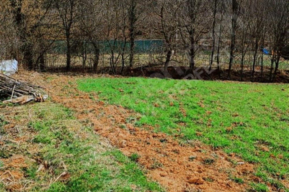 Gebze mudarlı köyünde satılık tarla 