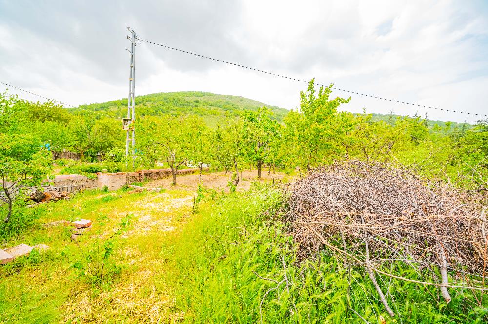 BEĞENDİK BAĞLARI MUHTEŞEM MANZARALI DOĞAYLA İÇ İÇE FIRSAT VİLLA