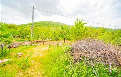 BEĞENDİK BAĞLARI MUHTEŞEM MANZARALI DOĞAYLA İÇ İÇE FIRSAT VİLLA