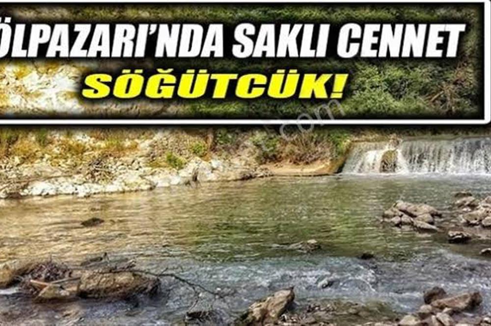 FIRSAT ! BİLECİK GÖLPAZARI SÖĞÜTCÜK 5.544 M2 ARSA