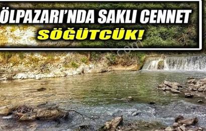 FIRSAT ! BİLECİK GÖLPAZARI SÖĞÜTCÜK 5.544 M2 ARSA