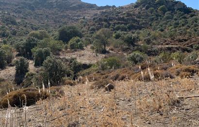 ORTAKENT YAHŞİ MALİKANELER BÖLGESİNDE PANORAMİK DENİZ VE DOĞA MANZARALI SATILIK TARLA