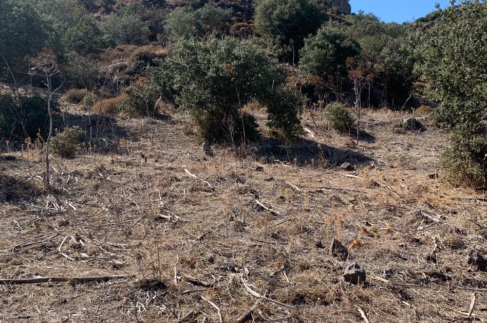 ORTAKENT YAHŞİ MALİKANELER BÖLGESİNDE PANORAMİK DENİZ VE DOĞA MANZARALI SATILIK TARLA