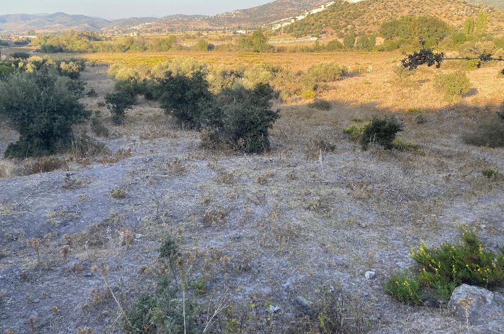 Bodrum Meşelik’te Satılık İmarlı Arsa