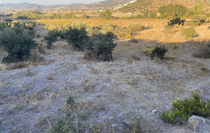 Bodrum Meşelik’te Satılık İmarlı Arsa