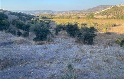 Bodrum Meşelik’te Satılık İmarlı Arsa