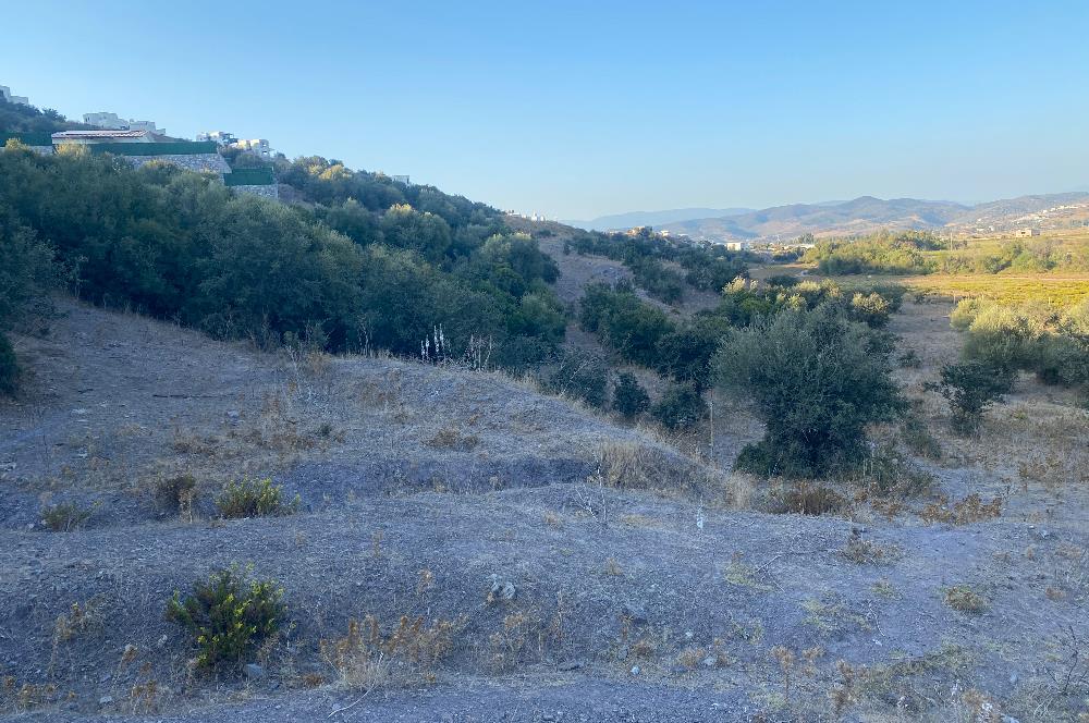 Bodrum Meşelik’te Satılık İmarlı Arsa