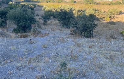 Bodrum Meşelik’te Satılık İmarlı Arsa