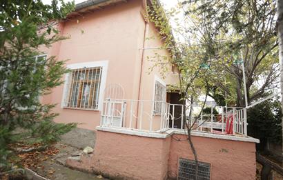 C21 CIUS; Detached House for Sale Under the New Hospital