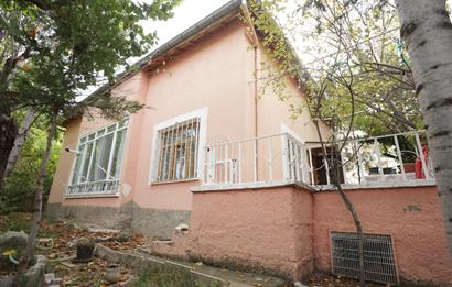 C21 CIUS; Detached House for Sale Under the New Hospital