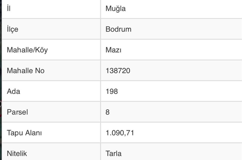 Bodrum Mazı da Satılık Tarla