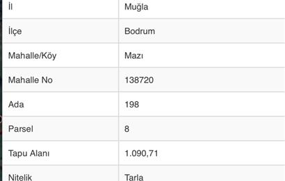 Bodrum Mazı da Satılık Tarla