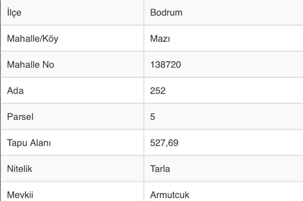 Bodrum Mazı'da Satılık Tarla