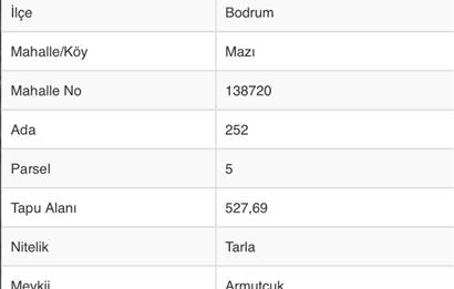 Bodrum Mazı'da Satılık Tarla