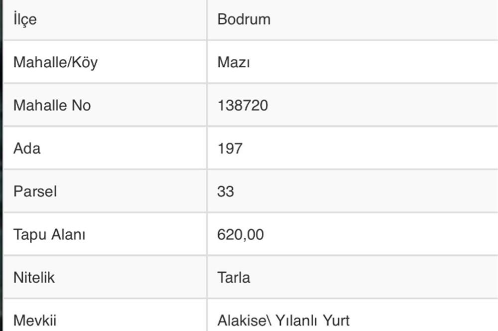 Bodrum Mazı'da Yatırımlık Satılık Tarla