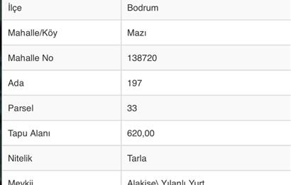 Bodrum Mazı'da Yatırımlık Satılık Tarla