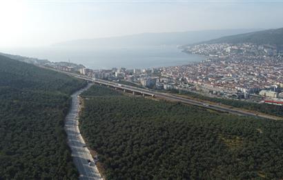 C21 cius; umurbey asfaltına cephe deniz manzaralı emsalsiz zeytinlik