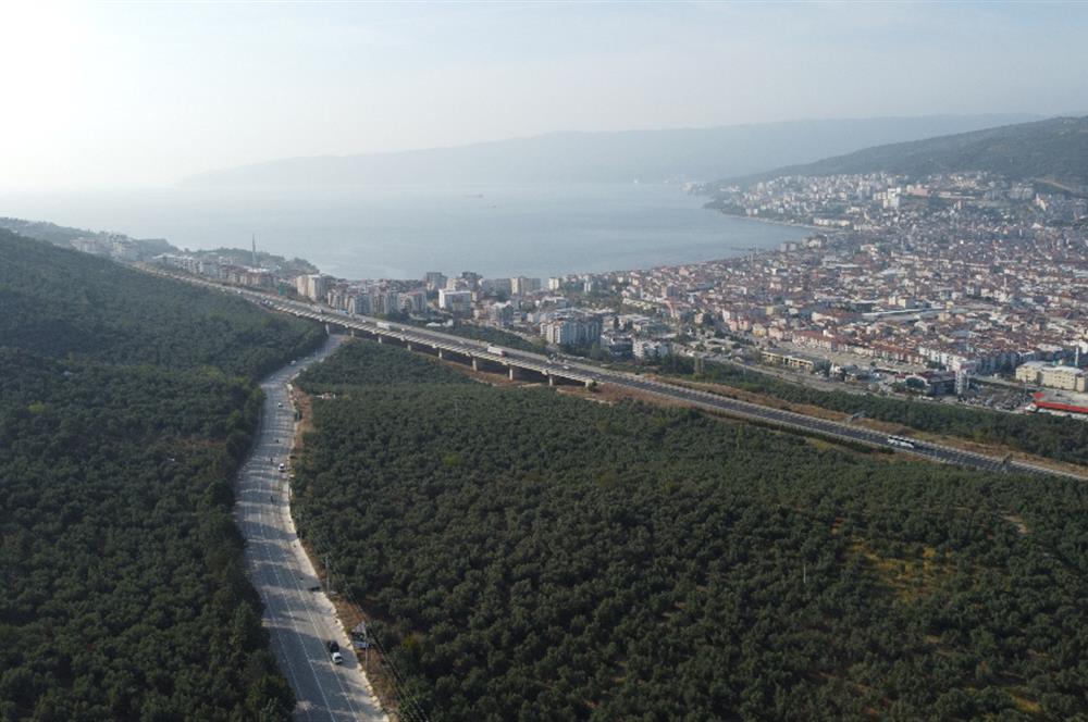 C21 cius; umurbey asfaltına cephe deniz manzaralı emsalsiz zeytinlik