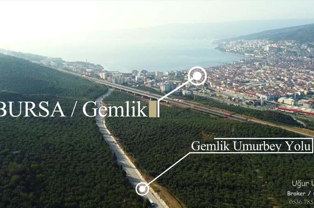 C21 cius; umurbey asfaltına cephe deniz manzaralı emsalsiz zeytinlik