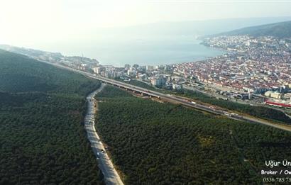 C21 cius; umurbey asfaltına cephe deniz manzaralı emsalsiz zeytinlik