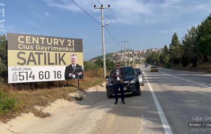 C21 cius; umurbey asfaltına cephe deniz manzaralı emsalsiz zeytinlik