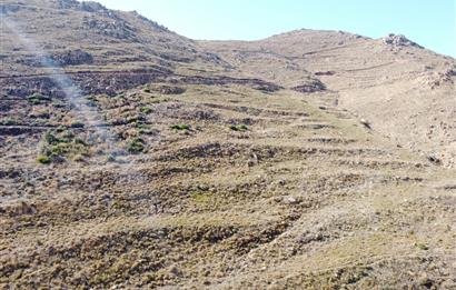 Bodrum Dereköy de Yerleşim Yerlerine Çok Yakın Yolu Açık 31 dönüm Satılık Arazi