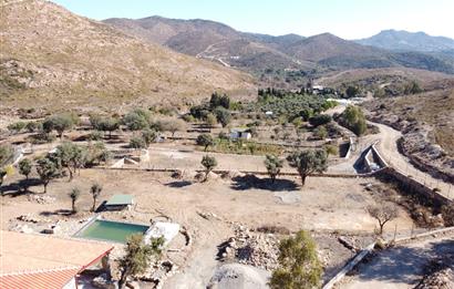 Bodrum Dereköy de Yerleşim Yerlerine Çok Yakın Yolu Açık 31 dönüm Satılık Arazi