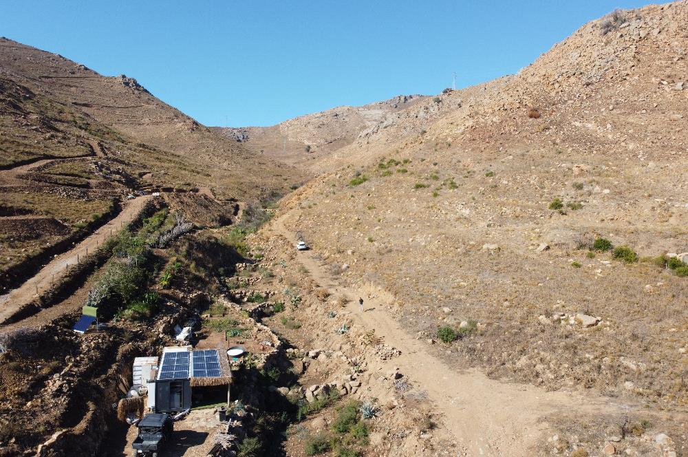 Bodrum Dereköy de Yerleşim Yerlerine Çok Yakın Yolu Açık 31 dönüm Satılık Arazi