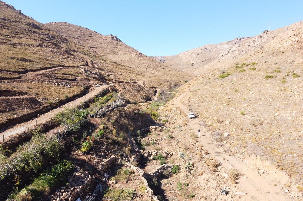 Bodrum Dereköy de Yerleşim Yerlerine Çok Yakın Yolu Açık 31 dönüm Satılık Arazi