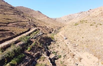 Bodrum Dereköy de Yerleşim Yerlerine Çok Yakın Yolu Açık 31 dönüm Satılık Arazi