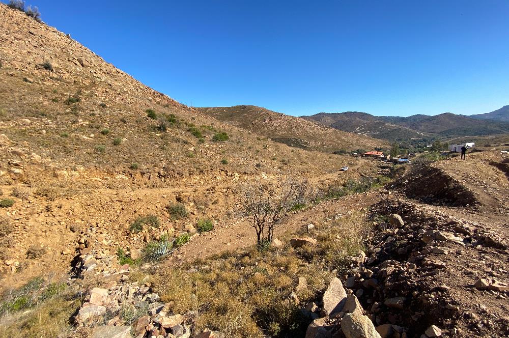 Bodrum Dereköy de Yerleşim Yerlerine Çok Yakın Yolu Açık 31 dönüm Satılık Arazi