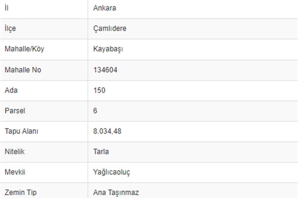 CENTURY21 VİZYON'dan ÇAMLIDERE YAYLASINDA 65 DÖNÜM TEKTAPU ARAZİ