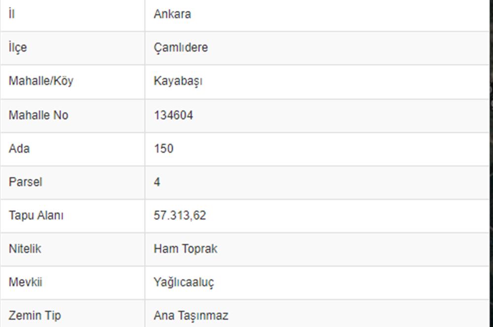 CENTURY21 VİZYON'dan ÇAMLIDERE YAYLASINDA 65 DÖNÜM TEKTAPU ARAZİ