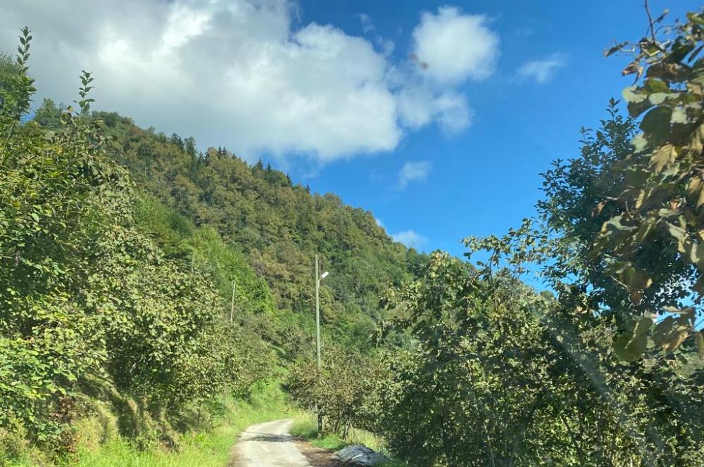 TRABZON YOMRA GÜLYURDU MAH.HİDDEN GARDEN BUNGALOV