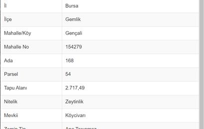 C21 Cius; Gemlik- Gençali Mahallesinde 2.717m² Zeytinlik
