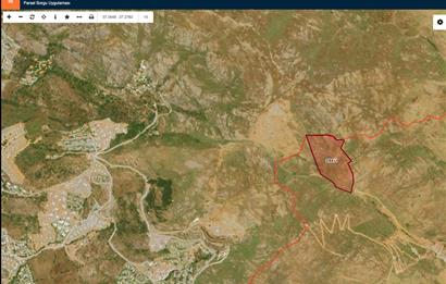 Bodrum Gümüşlük Dereköy'de Satılık 41.900 m2 Yatırımlık Arazi