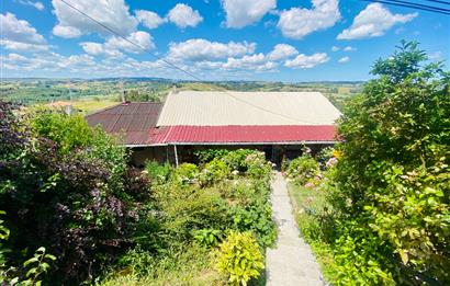 C21 PROJECT'DEN KANDIRA YOLU TOPLUCA MH. 1.650m2 SATILIK 