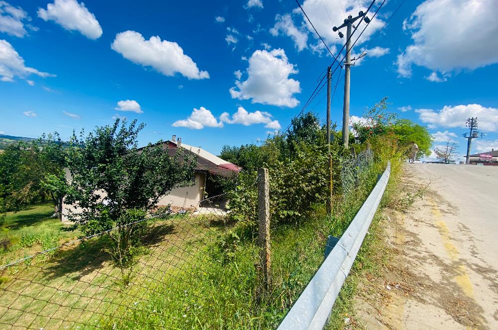 C21 PROJECT'DEN KANDIRA YOLU TOPLUCA MH. 1.650m2 SATILIK 